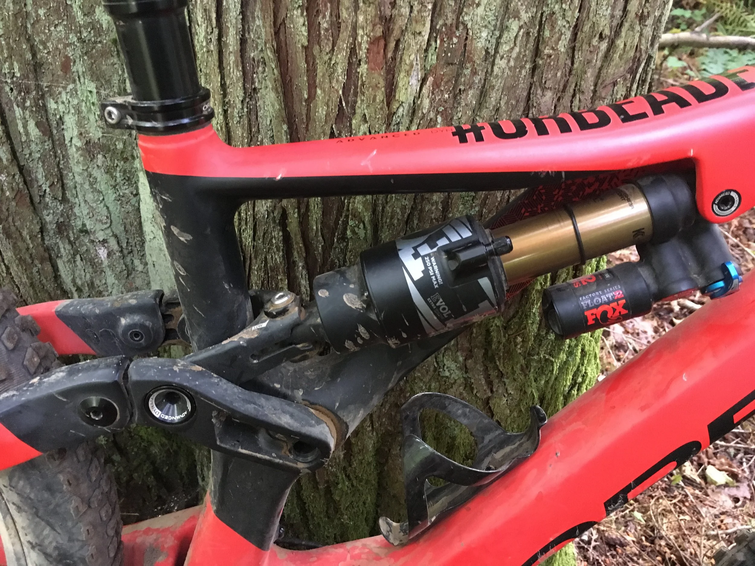 150mm travel 29er sales